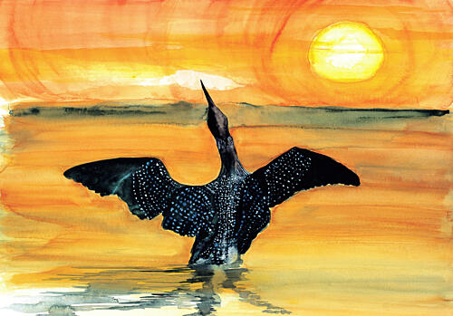 Vibrant Loon Sunset Art Print