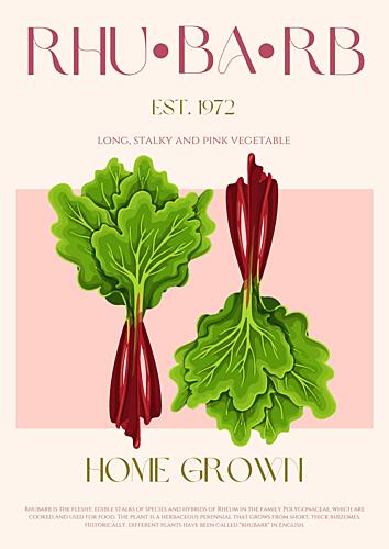 Rhubarb Home Grown Art Print