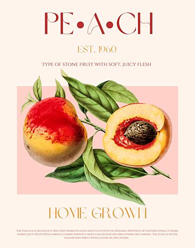 Classic Peach Illustration Art Print