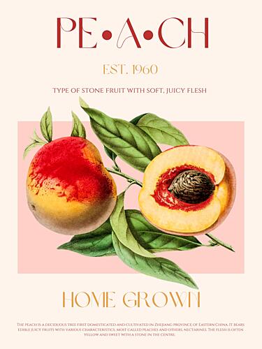 Ripe Vintage Peaches Art Print
