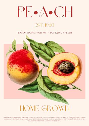 Vintage Botanical Peach Art Print