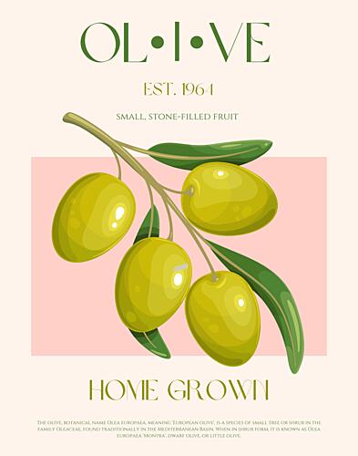 Home Grown Olive Branch Art Print