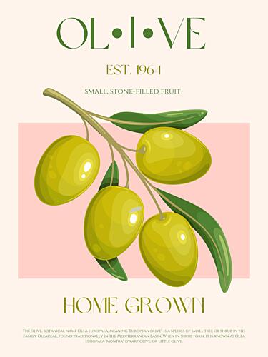 Fresh Green Olive Branch Art Print