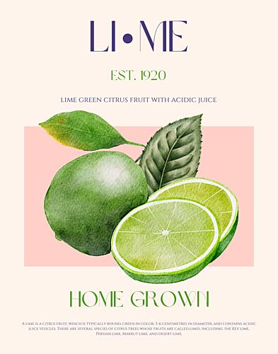 Fresh Green Limes Art Print