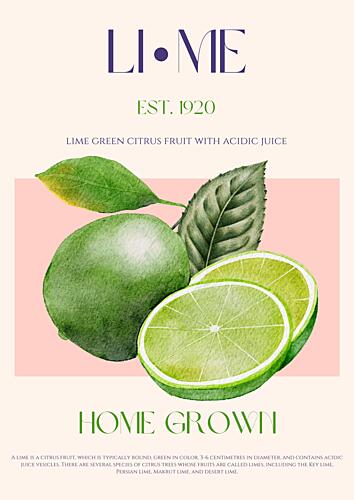 Fresh Lime Art Art Print