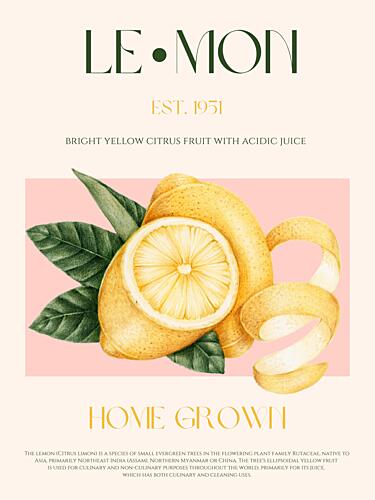 Sunny Lemon Citrus Art Print