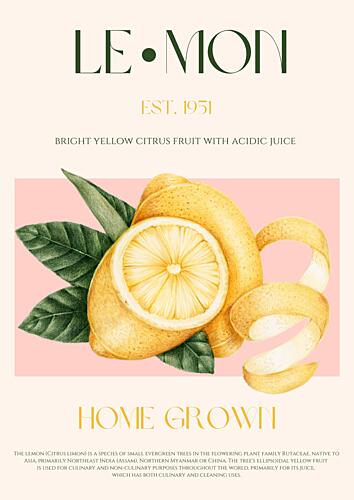 Bright Pink Lemon Zest Art Print