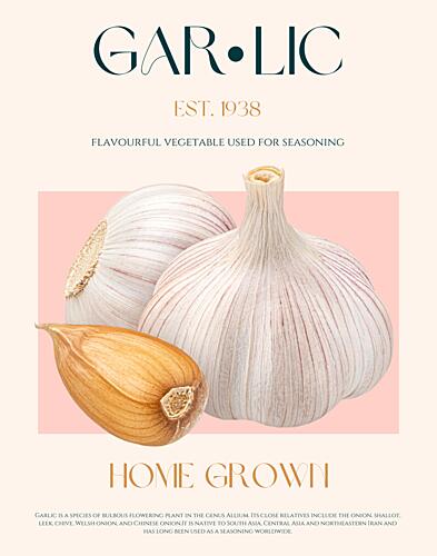 Fresh Garlic Bulbs Art Print