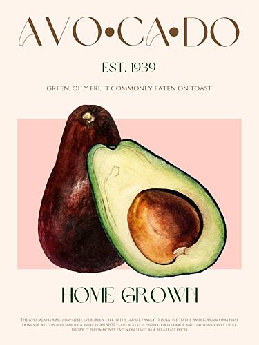 Home Grown Avocados Art Print