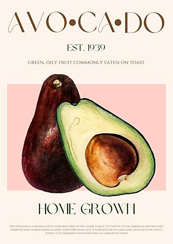 Illustrated Avocados Art Print
