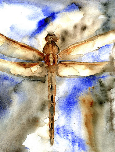 Blue Watercolor Dragonfly Art Print