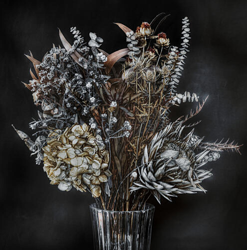 Elegant Dried Flowers Art Print by Unknown