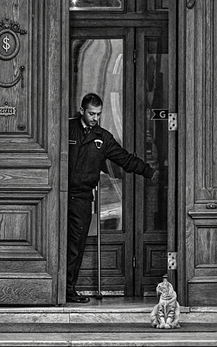 Doorman and Curious Cat Art Print by Serdar Bayram