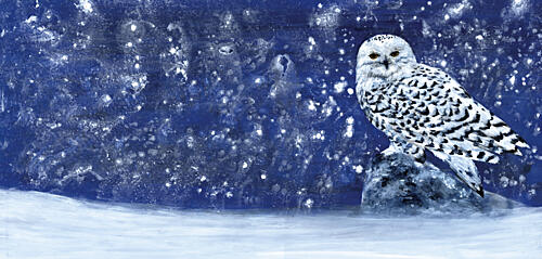 Snowy Evening 60 X 28 Art Print