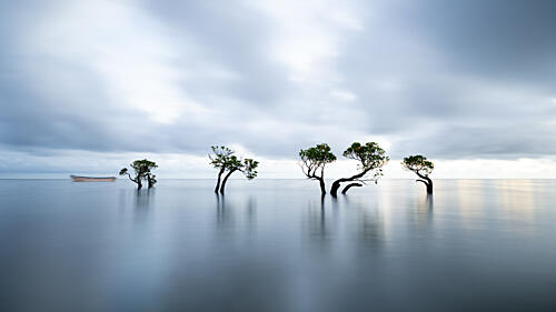 Still Water Trees Boat Art Print