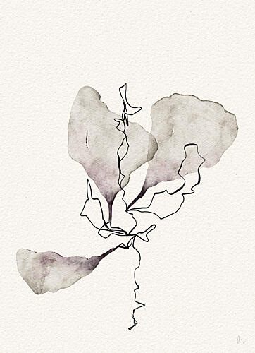 Delicate Botanical Study Art Print