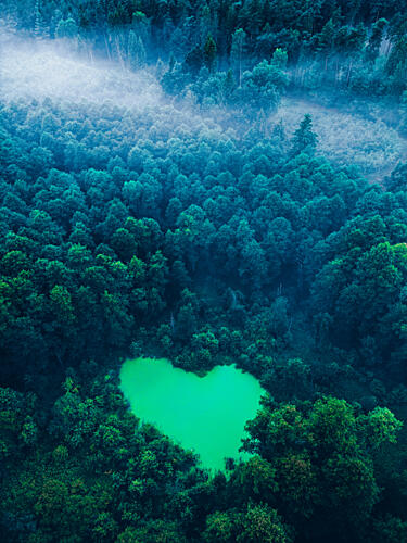 Misty Heart Forest Art Print by Oskar Ulvur