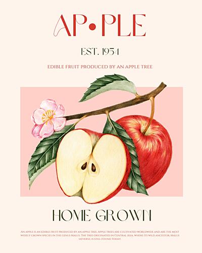 Home Grown Apples Art Print