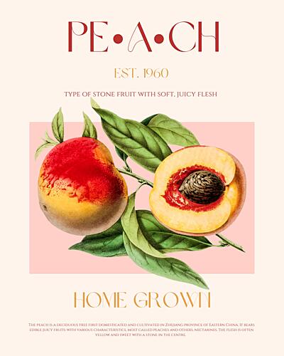 Fresh Peach Botanical Art Print