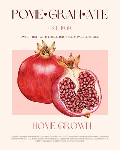Fresh Red Pomegranates Art Print