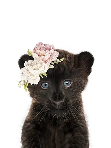 Black Panther Flower Crown Art Print