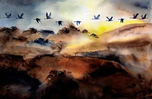 Birds Flying over Hills Art Print