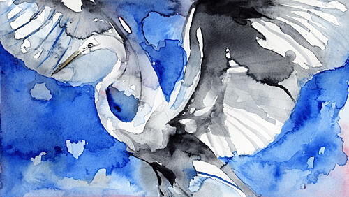 Blue Heron in Flight Art Print
