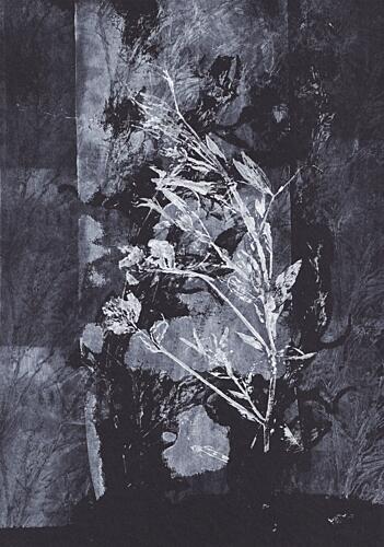 Black Nature Art Print