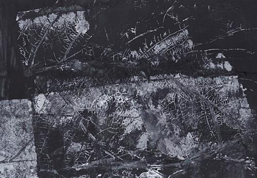 Dark Organic Texture Art Print