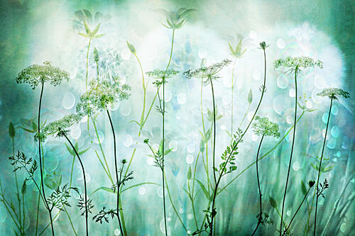 Ethereal Green Garden Art Print