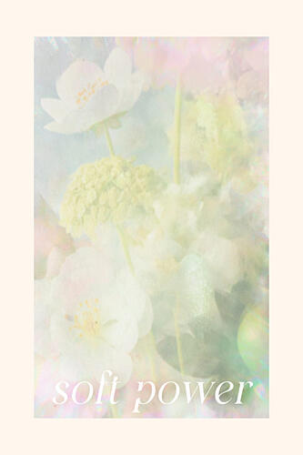 Softspokenno08 Art Print