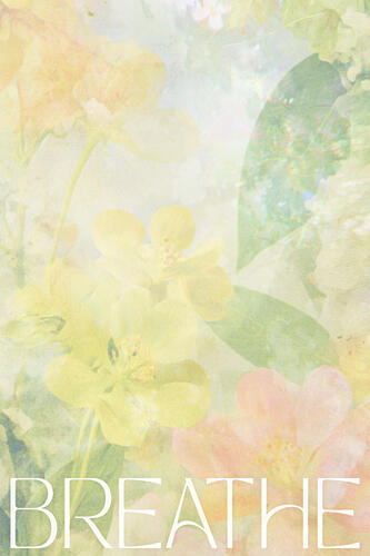 Softspokenno19 Art Print
