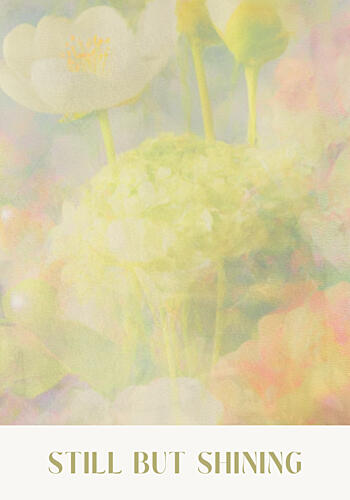 Softspokenno20 Art Print