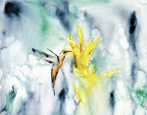 Vibrant Hummingbird Bloom Art Print