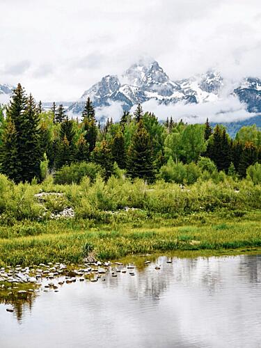 Serene Mountain Forest Lake Art Print
