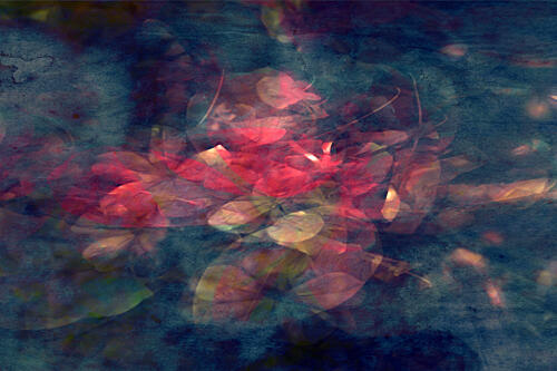 Ethereal Red Foliage Art Print