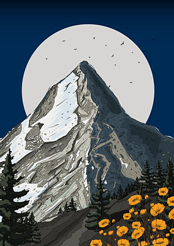 Moonlit Mountain Poppies Art Print