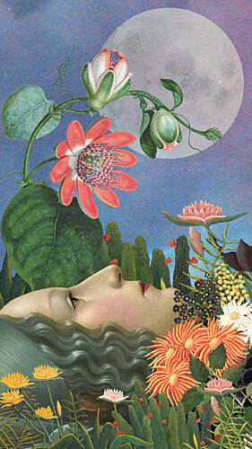 Moonlit Floral Dream Art Print