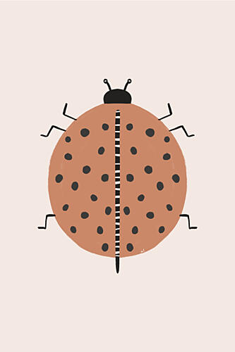 Spotted Terracotta Ladybug Art Print
