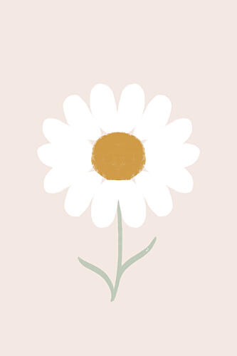 Gentle White Daisy Art Print