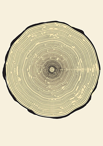 Natural Tree Rings Art Print