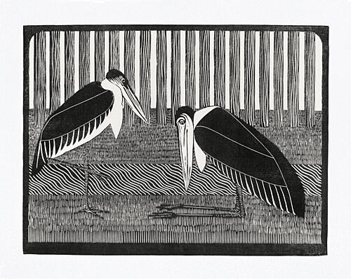 Two Maraboos Art Print