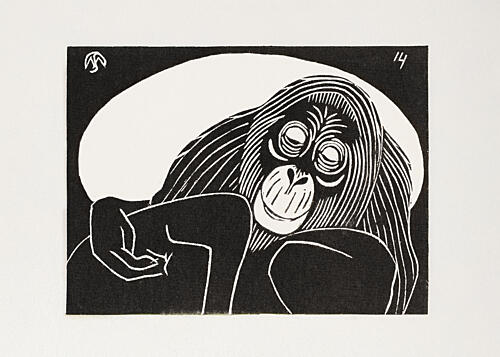 Orangutan Art Print