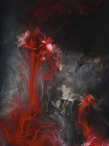 Red Ink Blooms Art Print by Angi Wallace