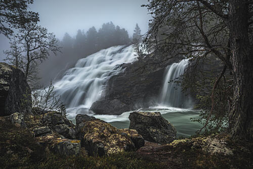 Misty Forest Waterfall Art Print