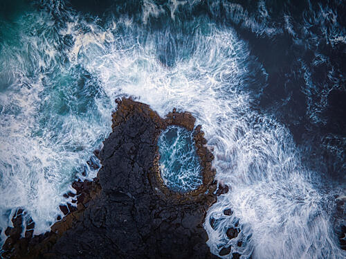 Wild Ocean Tide Pool Art Print