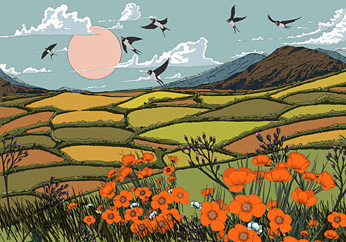 Swallows over Poppy Fields Art Print