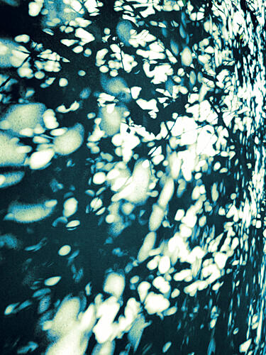 Abstract Leaf Shadows Art Print