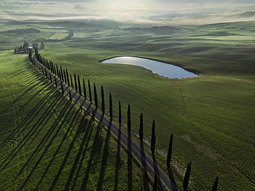 Cypress Road Shadows Art Print