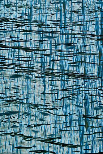 Rippling Blue Reflections Art Print by Alexander Stefan